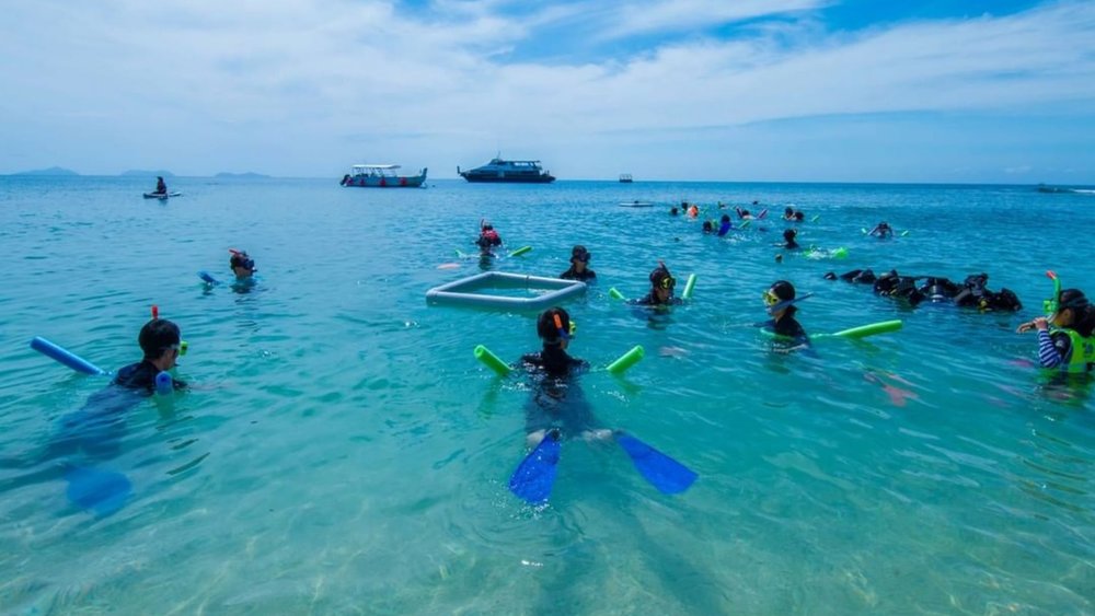 Learn snorkelling from Master Reef guides. Credits @franklandislands