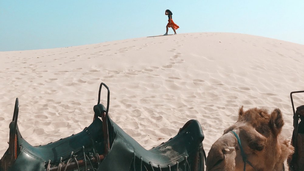 Strolling down the sands of Port Stephens beach, plus a peek of the camels! Image credits: Joeyy Lee on Unsplash