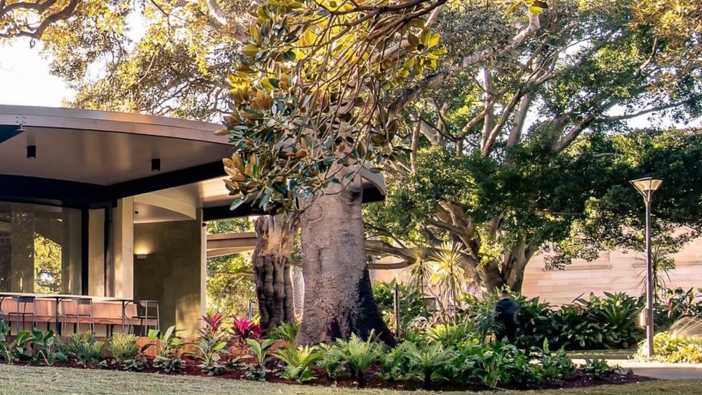 The lovely landscape of Terrace at the Domain. Image credits: @terraceonthedomain on Instagram