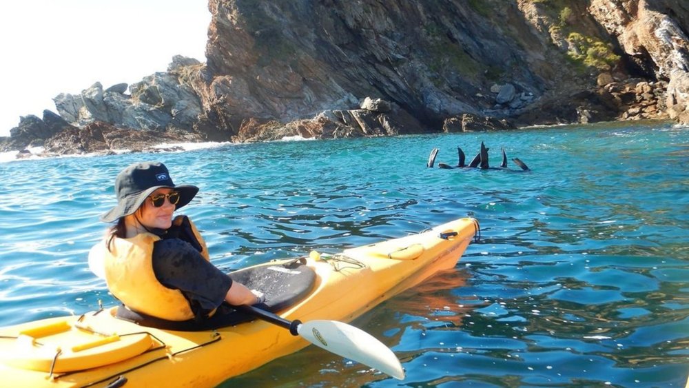 The Best Kayaking Tours in Batemans Bay Glass Bottom Kayaks, Pizza Paddles and More Klook