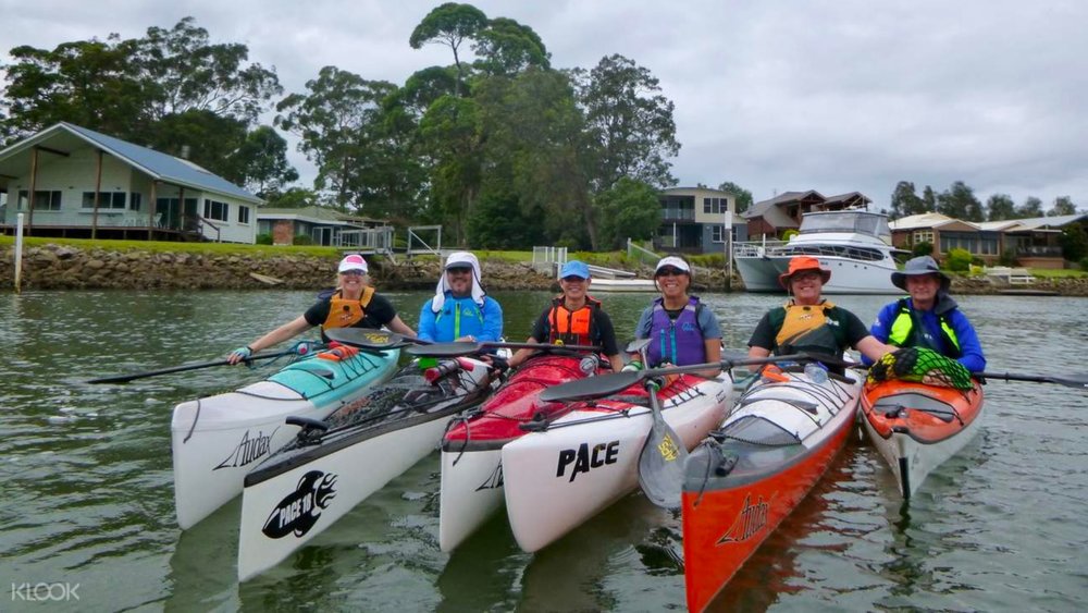 The Best Kayaking Tours in Batemans Bay Glass Bottom Kayaks, Pizza Paddles and More Klook