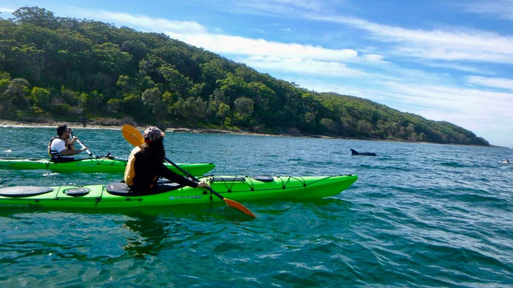 The Best Kayaking Tours in Batemans Bay Glass Bottom Kayaks, Pizza Paddles and More Klook