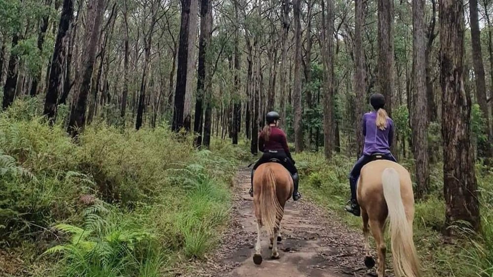 Go horseback riding through the park. Credits @nskequestrian