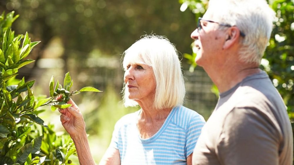 Tour around Montalto and learn more about winemaking. Credits: @montaltovineyard
