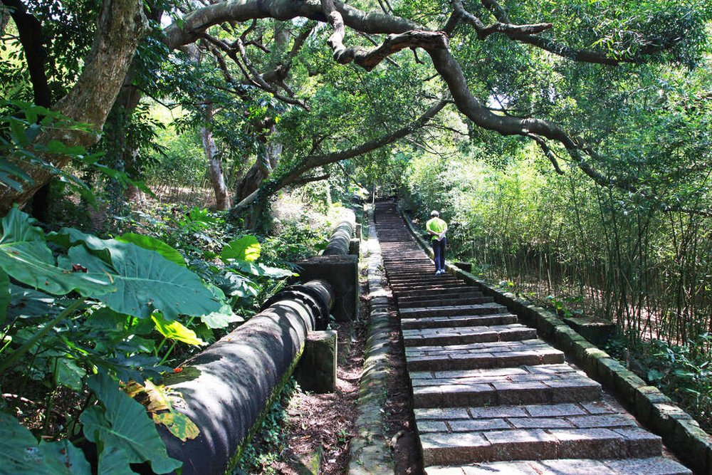 台灣森林步道 天母水管路