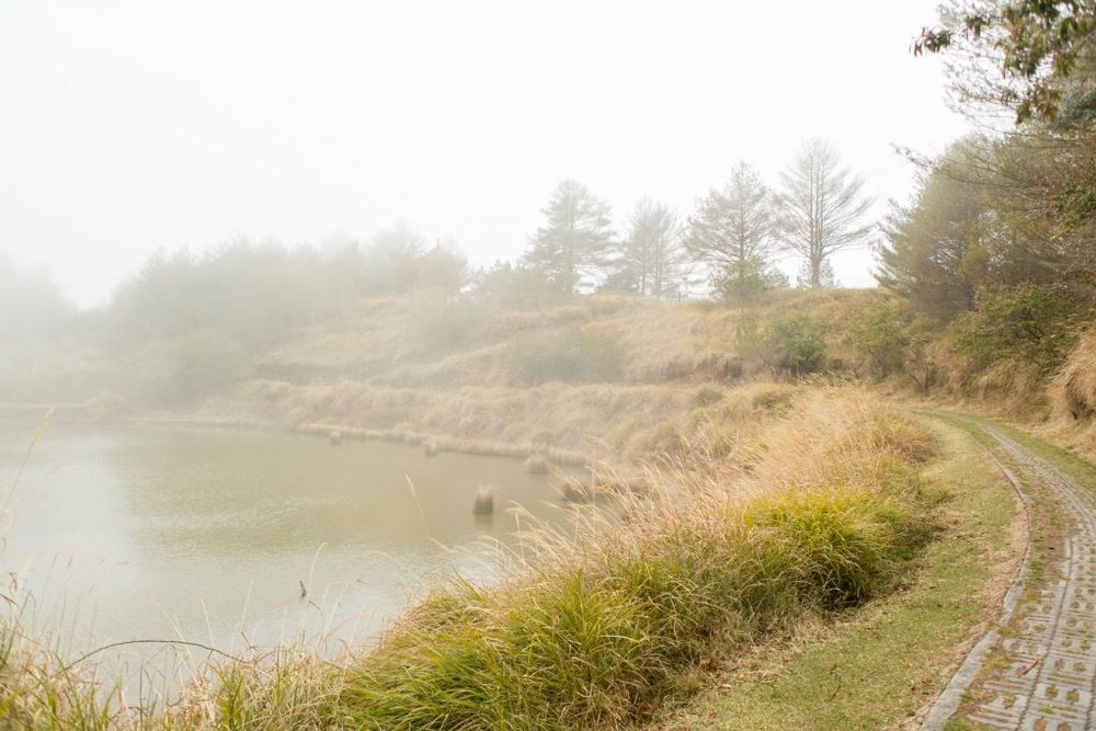 台灣步道 大雪山