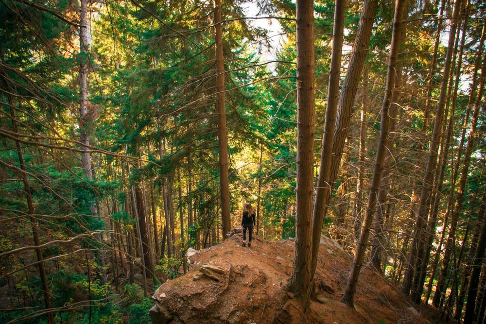 Tiki Trail Hike Queenstown