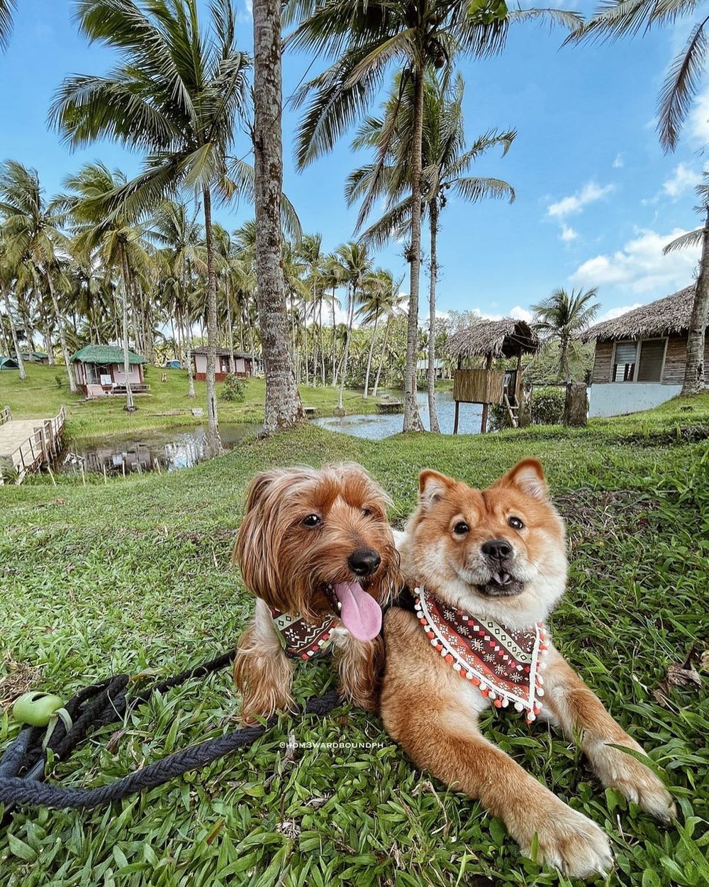 caliraya ecoville resort