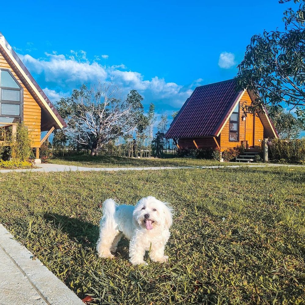 cabin resorts bulacan