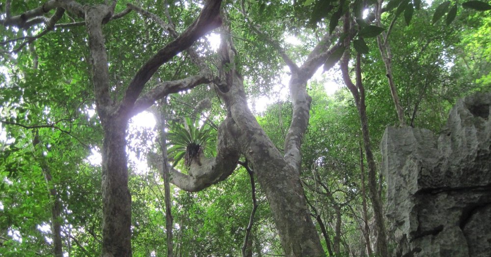 tau-cao-toc-phu-quoc-ha-tien