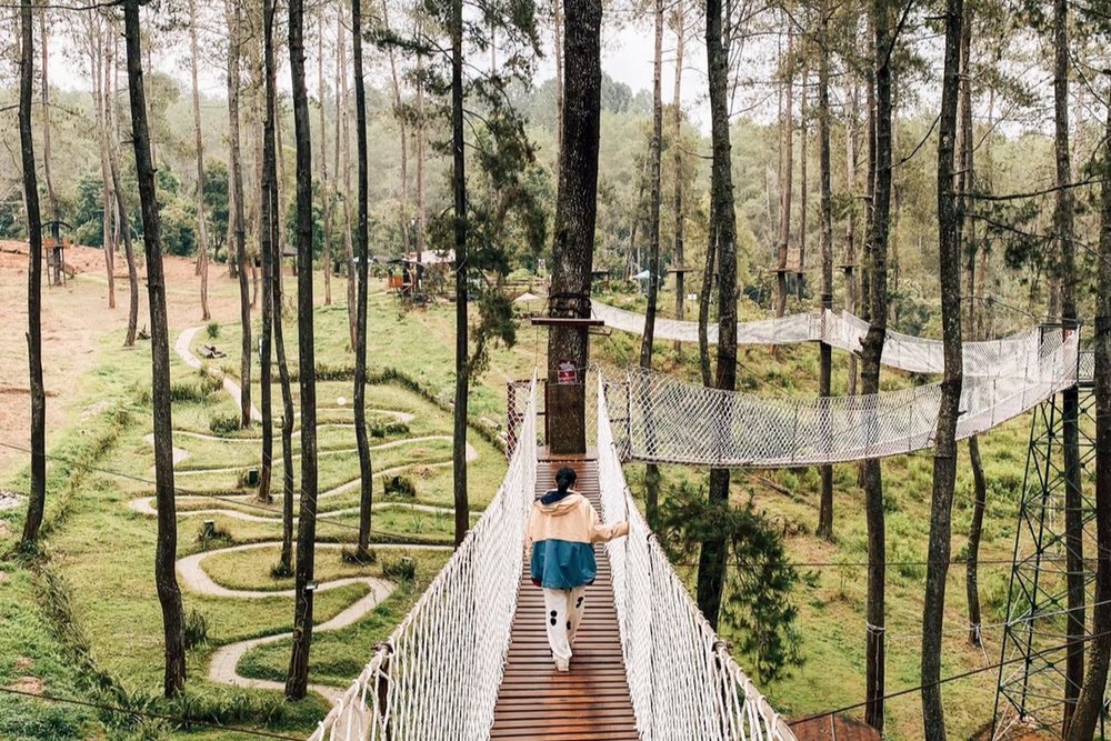 Wood Bridge - Orchid Forest Cikole Lembang