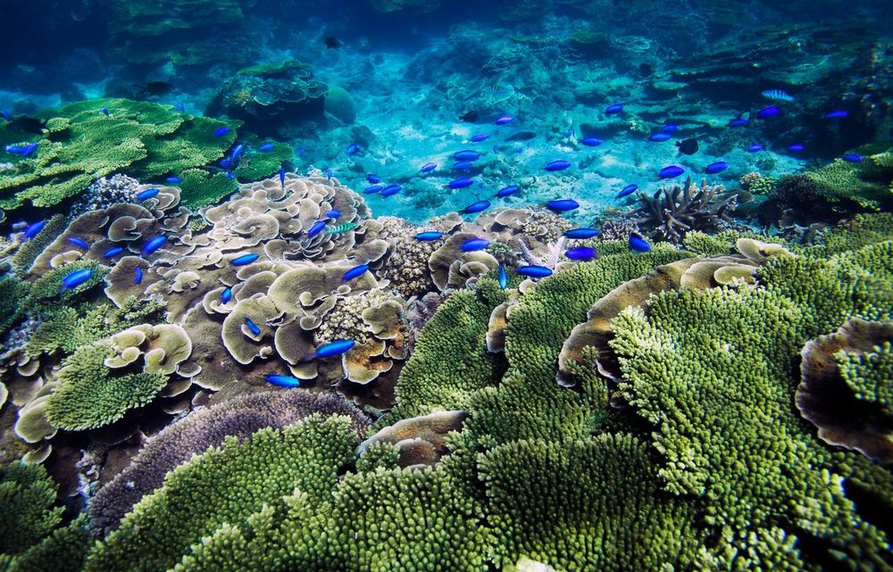 澎湖沙灘忘憂島浮潛