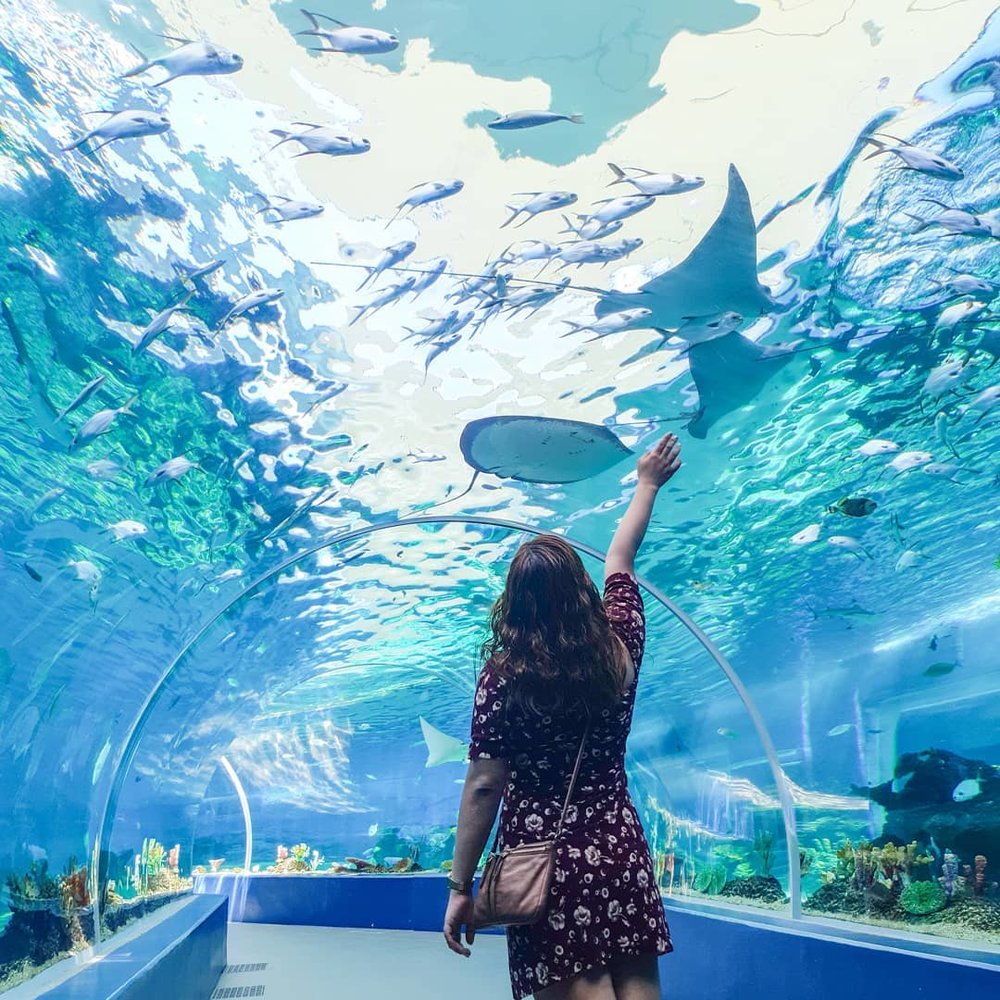 cebu ocean park