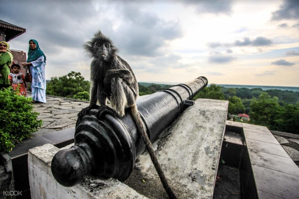 天空之镜 & Bukit Melawati猴子山之旅