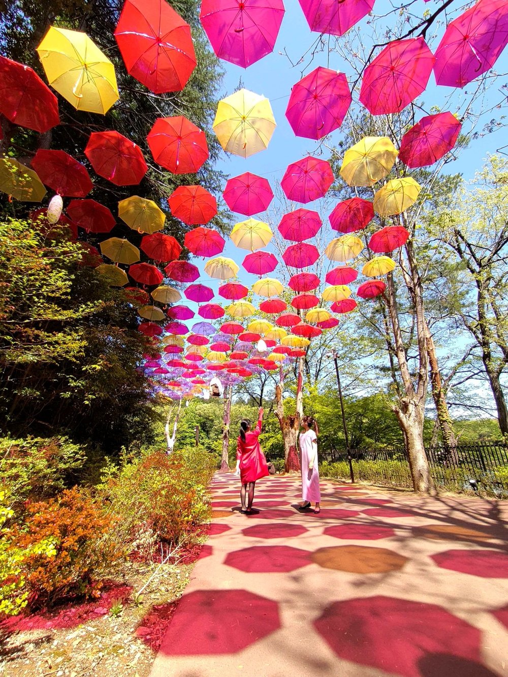 アンブレラスカイと女性