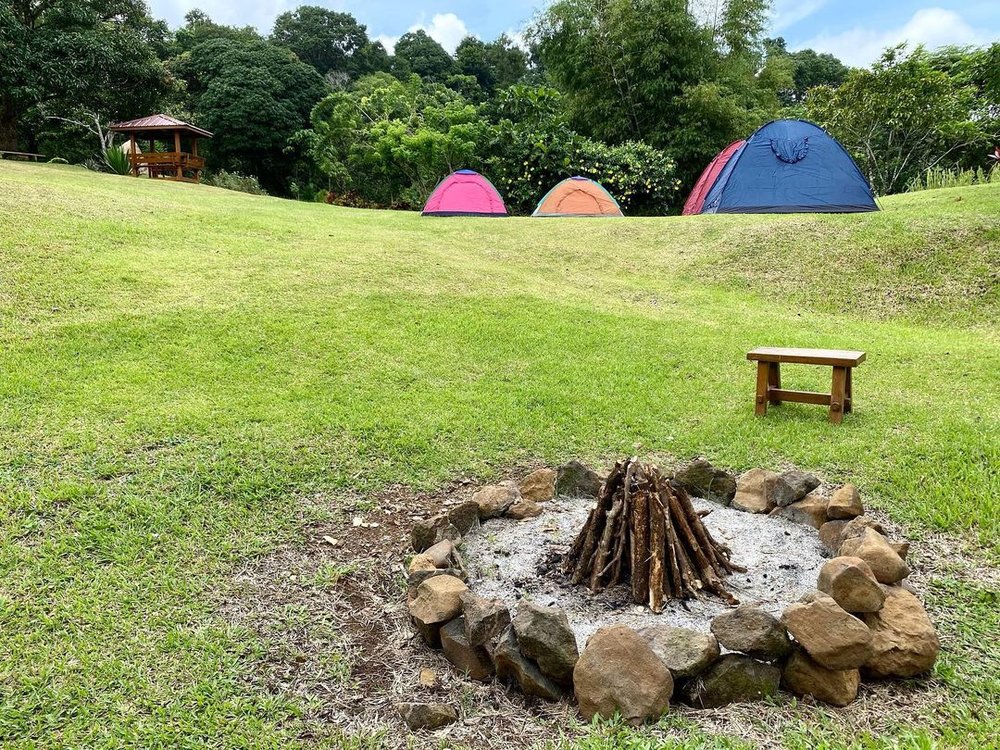3 Springs Mountain Park in the morning with tents and bonfire