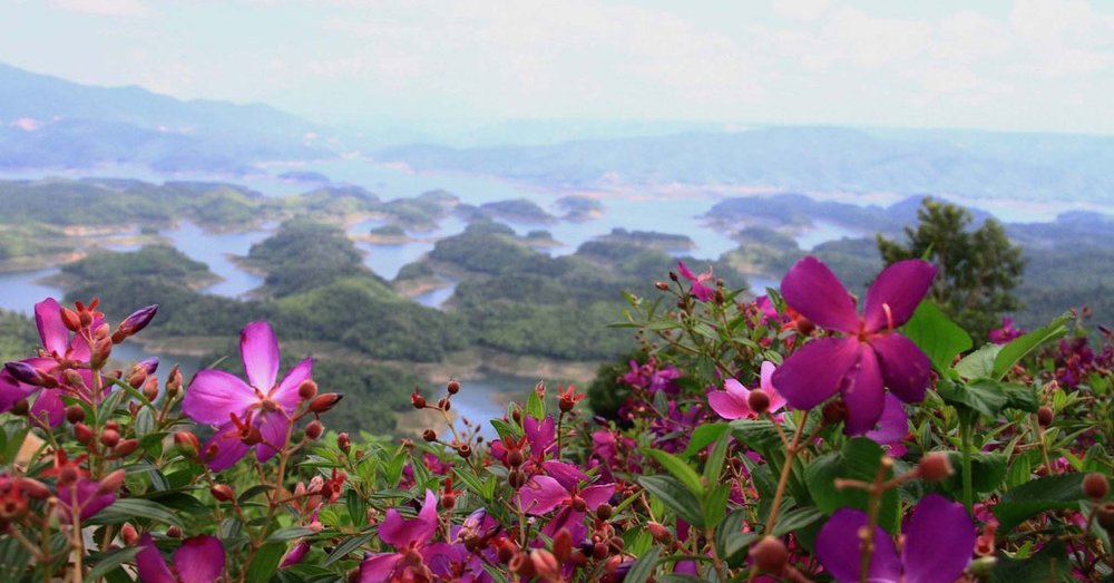 kinh-nghiem-du-lich-ta-dung