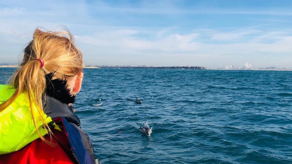 Watch in awe as whales put on a show for you and your family! Image credits: @thegreatadventureofliving