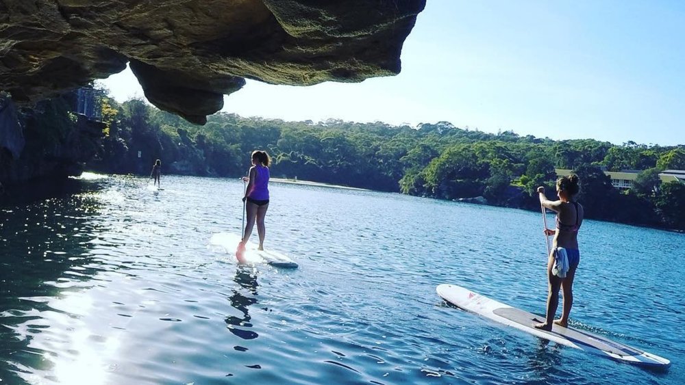 Paddleboarding students exploring the waters of Manly. Image credits @manlykayakcentre on Instagram