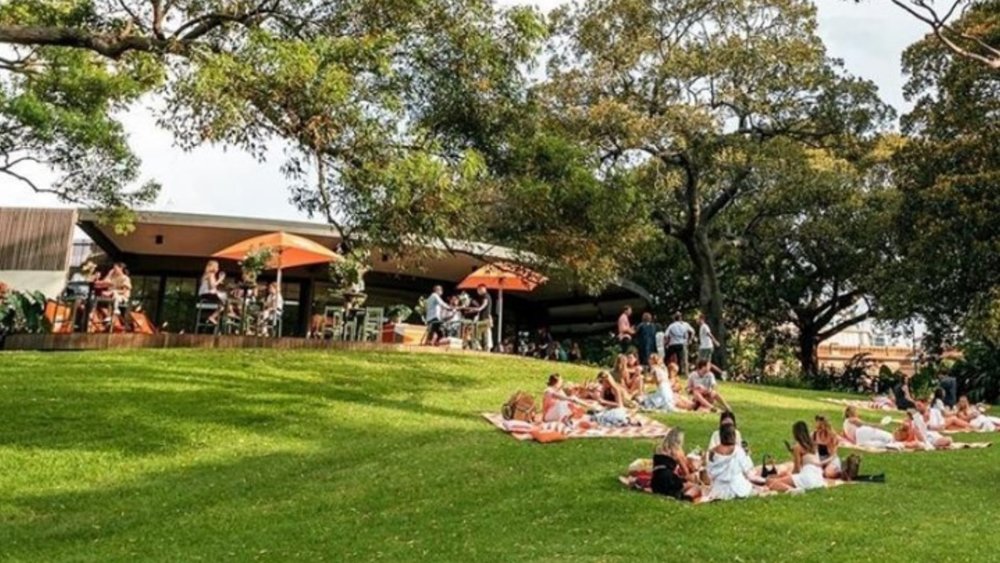Have a romantic rustic Italian picnic at the Domain or Royal Botanic Gardens. Image credits: @thedomainsyd on Instagram