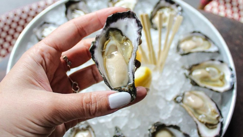 Slurp on the freshest oyster at the heart of Sydney! Image credits: @themorrisonsydney