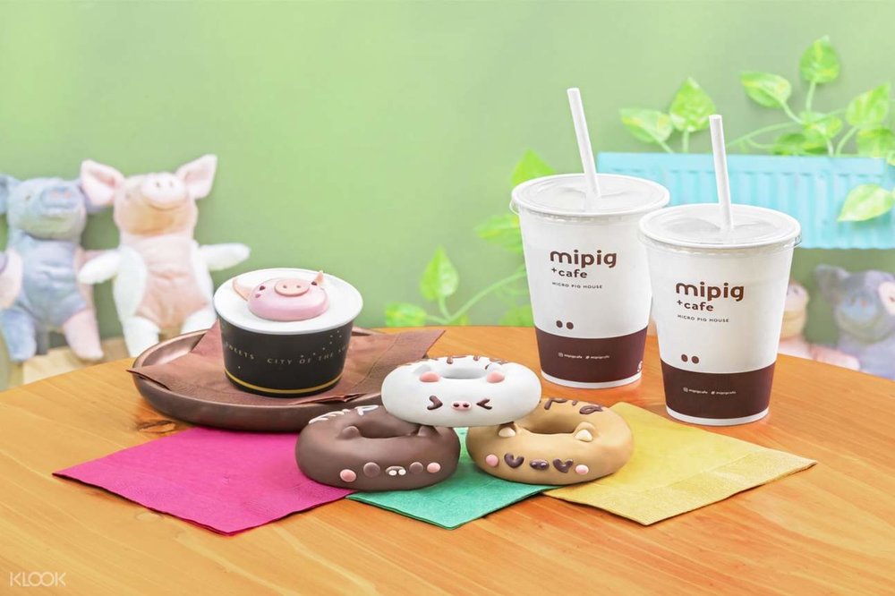 mipig マイクロブタとふれあうカフェ