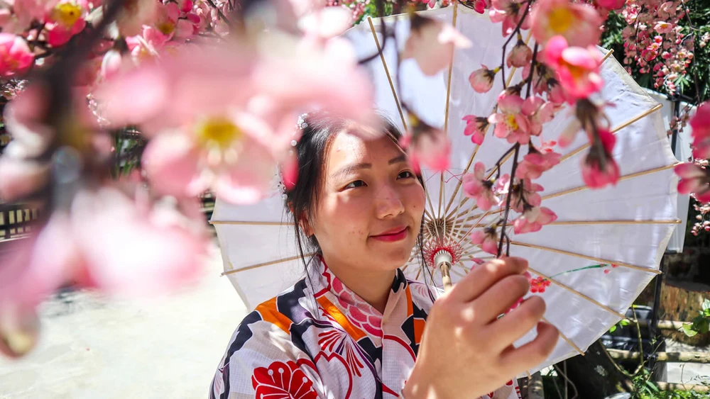 The Great Asia Africa Lembang - Kimono Sakura Jepang