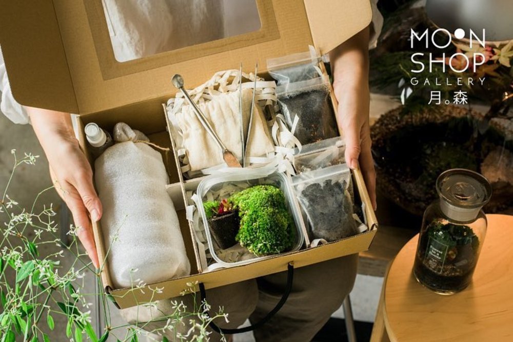 forest in a bottle diy terrarium kit kl