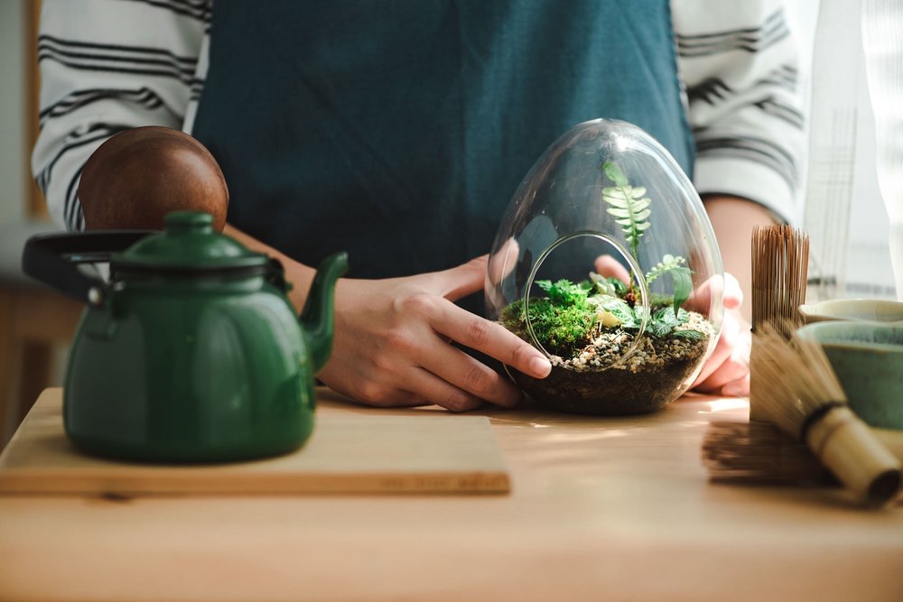 forest in a bottle diy terrarium kit kl