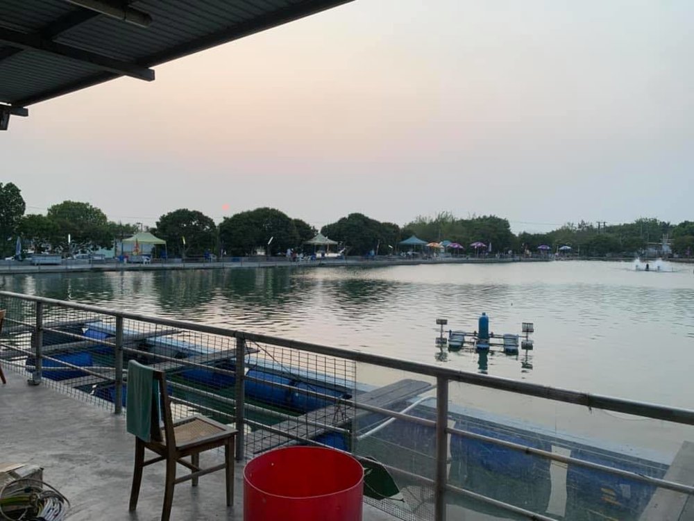 鴨仔坑波叔釣魚場