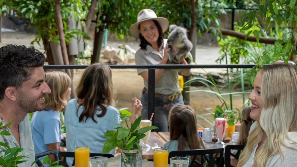 Get up close with the koalas as you have some tasty treats!. Image credits: @currumbinsanctuary on Instagram