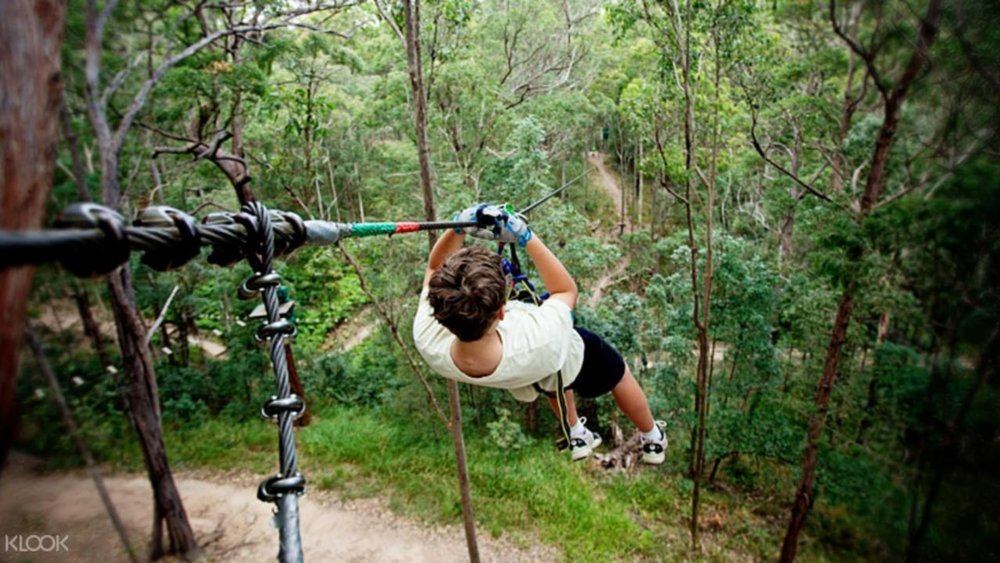 Zip through the trees at the courses of Treetop Challenge