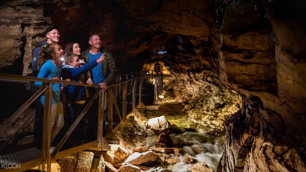Be mesmerized by the majestic rock formations inside Te Anau Glowworm Caves!