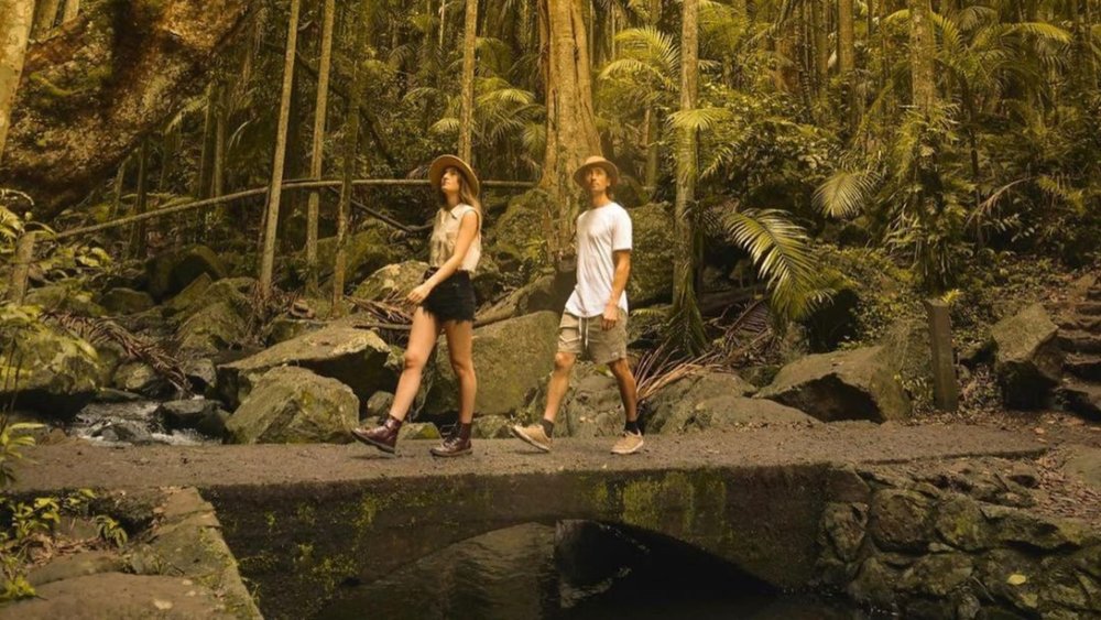 Take a nature stroll with the fam at Tamborine Mountain. Image credits: @visittamborine on Instagram