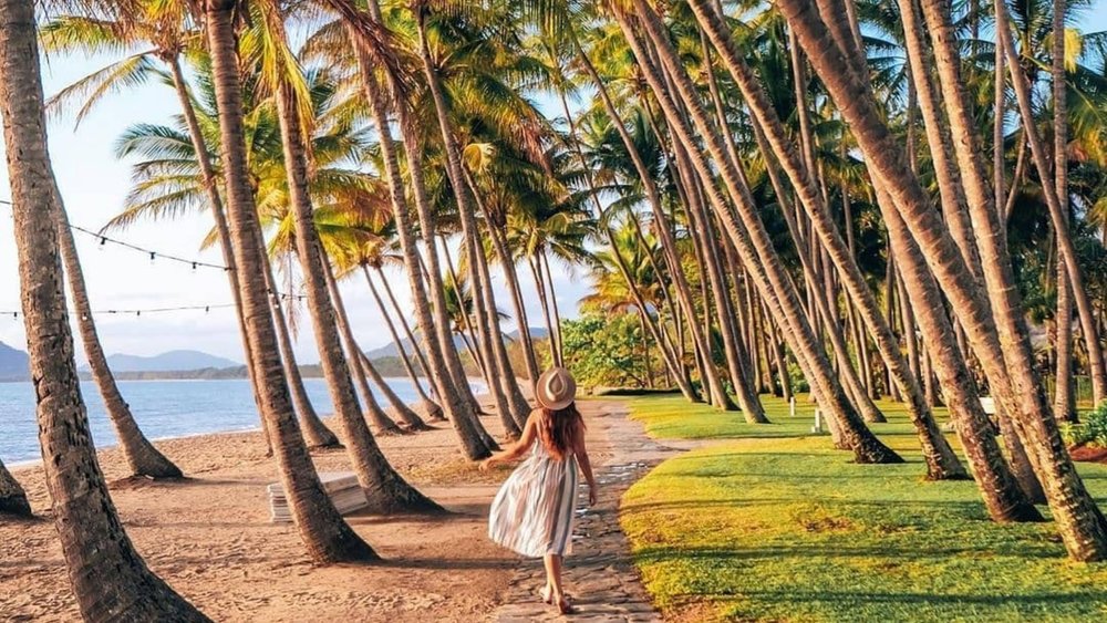 Stroll along the palm tree-lined path. Beware of falling coconuts, though! Image credits: @tropicalnorthqueensland