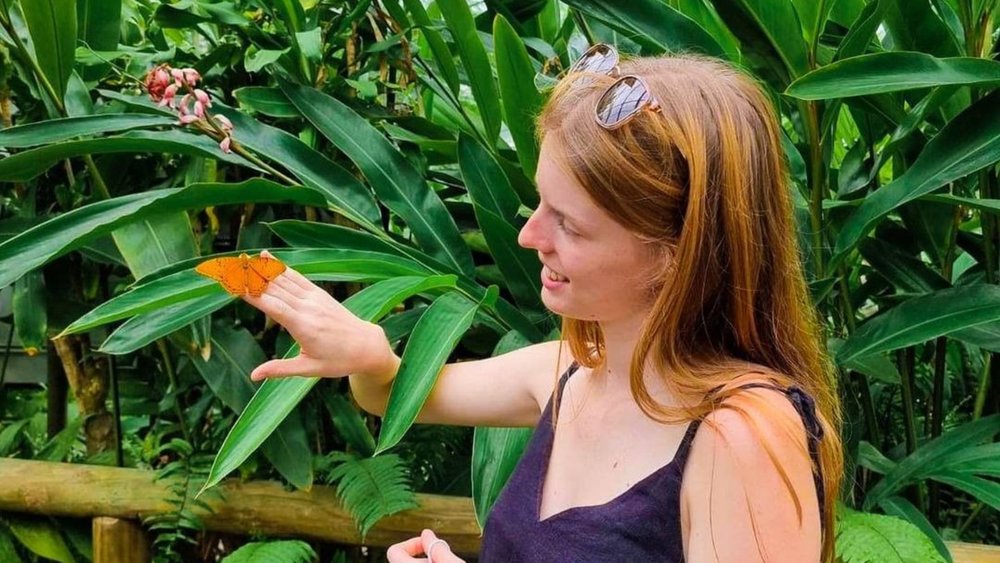 Befriend butterflies as you tour around the Australian Butterfly Sanctuary! Image credits: @australianbutterflysanctuary