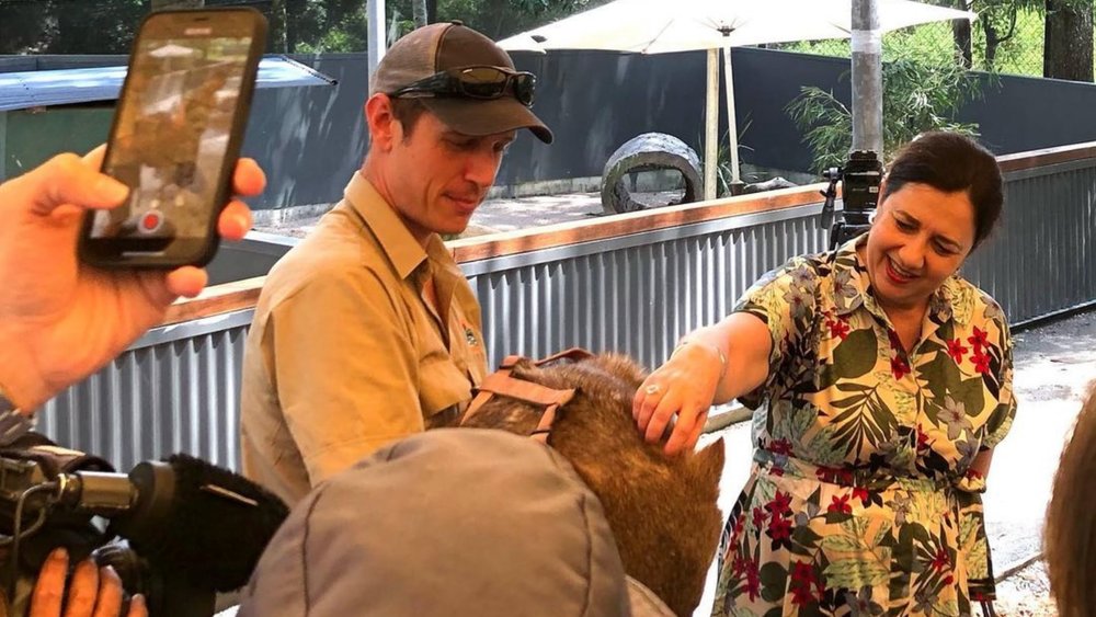 Meet other fantastic creatures such as the wombat at Hartley’s Crocodile Park! Image credits: @hartleyscrocodileadventures