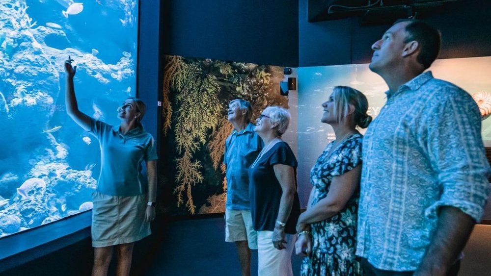 Discover the rich marine diversity at Cairns Aquarium! Image credits @cairns_aquarium