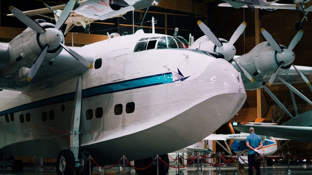 The kids will love meeting and petting the animals at Clevedon! Image credits @motatnz on Instagram