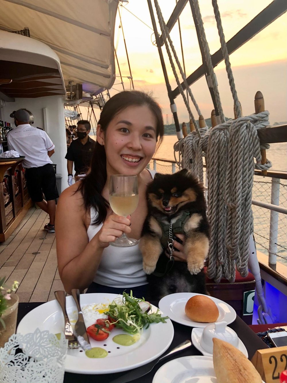 dog cruise sg