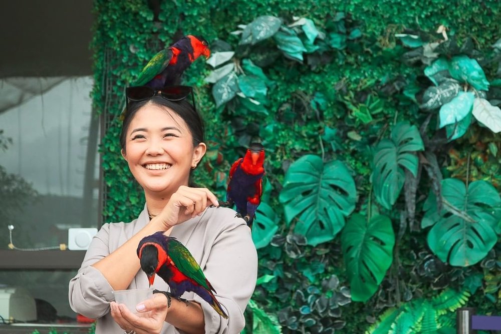 cebu ocean park (lorries)