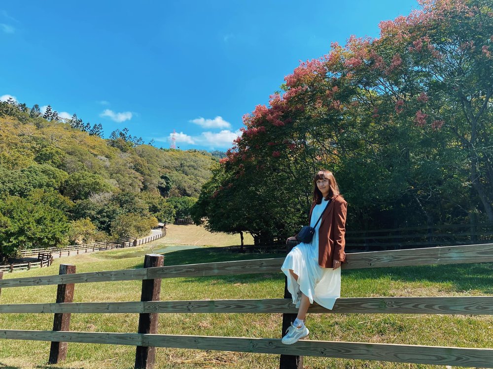 苗栗親子農場:飛牛牧場