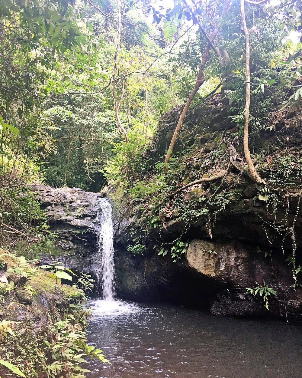 el kabayo falls and trees