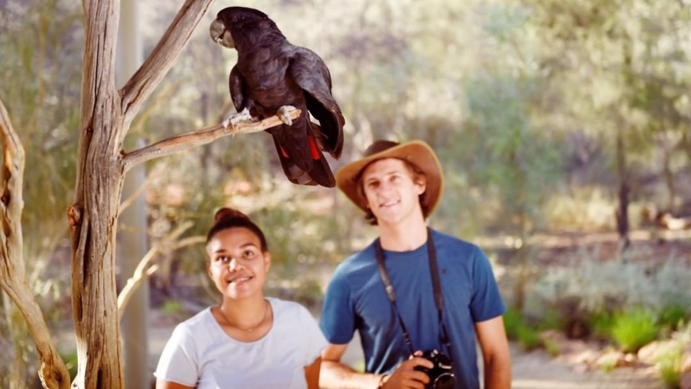 Diverse wildlife awaits at Alice Springs Desert Park. Image credits: @alicespringsdesertpark on Instagram