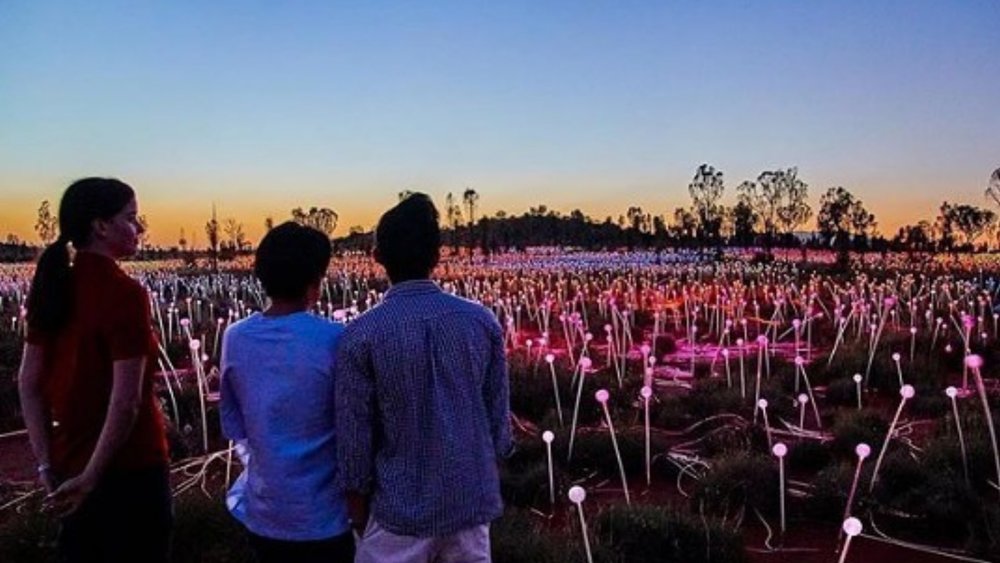 The Field of Light installation is definitely one for the ‘Gram! Image credits: @exploreuluru on Instagram