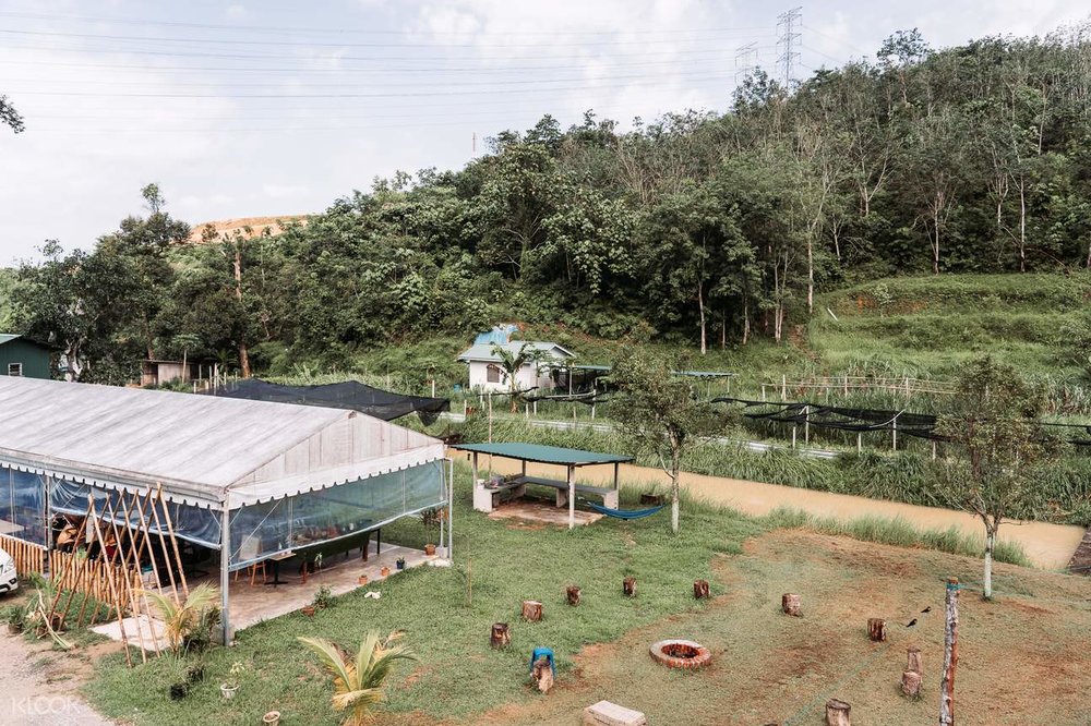 Lolo Mike's Eco Farm selangor