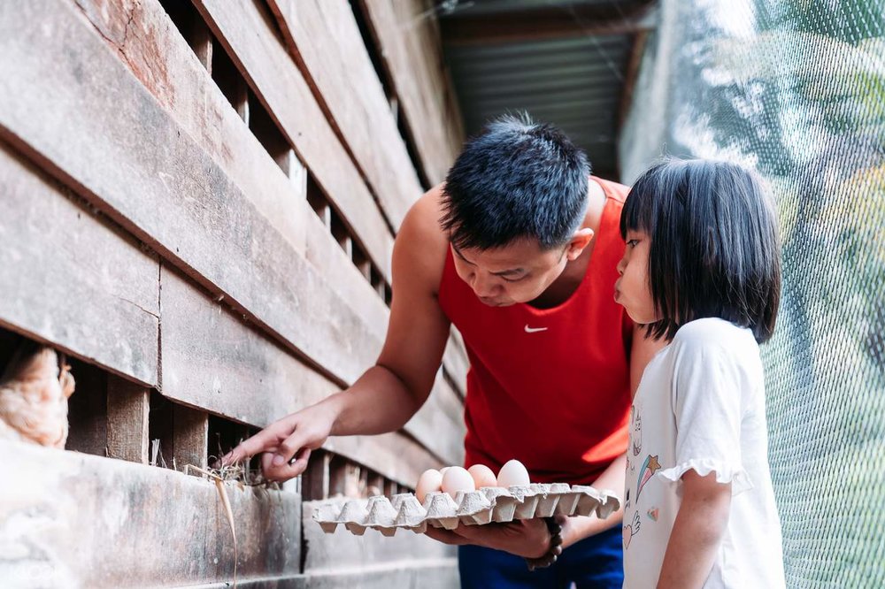 Lolo Mike's Eco Farm selangor