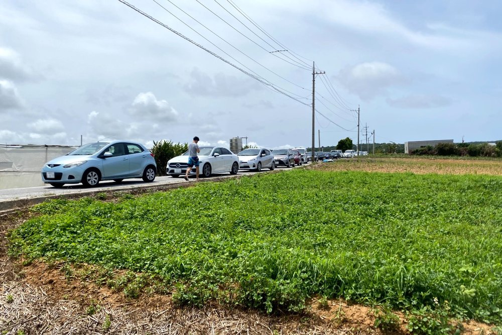 青の洞窟 駐車場行列