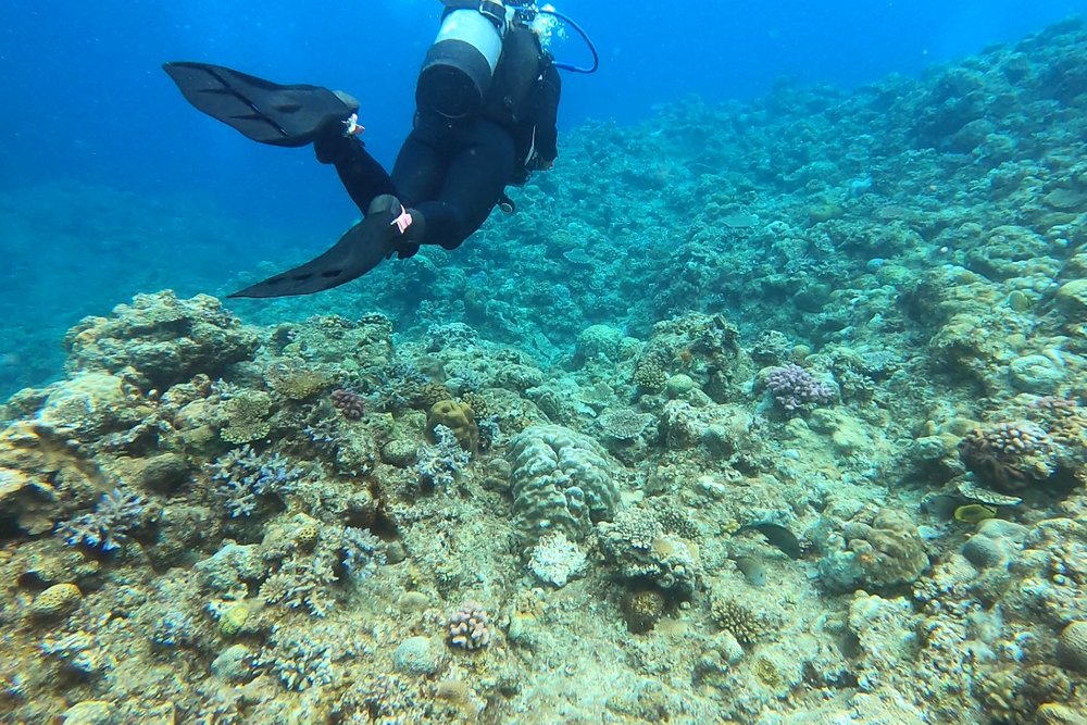 青の洞窟 ダイビングソロ