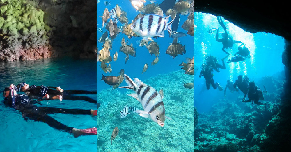 青の洞窟 ツアーの選び方